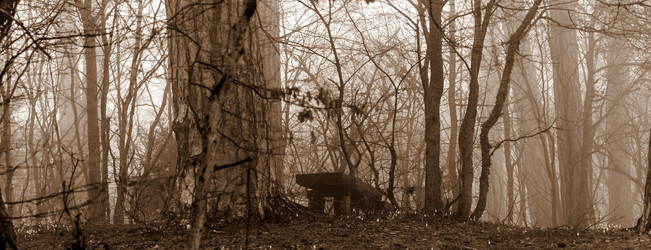 Similar image 8526731