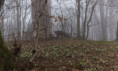 Similar image 8526732