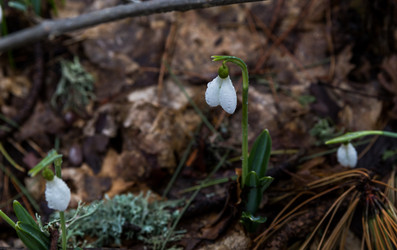 Similar image 8526758