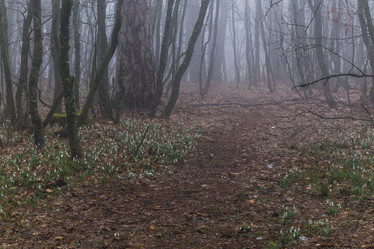 Similar image 8526760