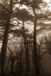 Similar image 8526761