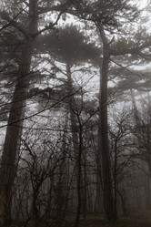 Similar image 8526762