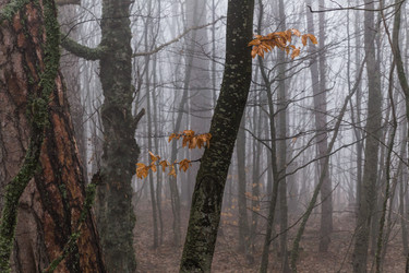 Similar image 8526763