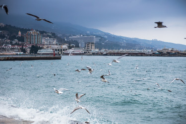 Similar image 8526769