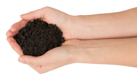 Similar image 8526798