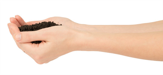 Similar image 8526804