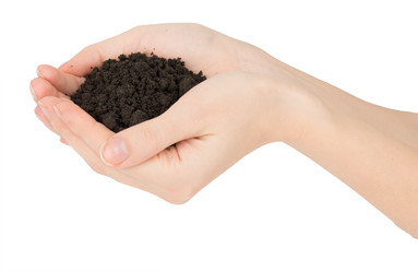 Similar image 8526806