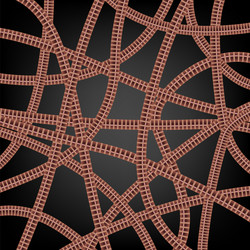 Similar image 8527147