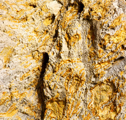 Similar image 8527218