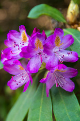 Similar image 8527229