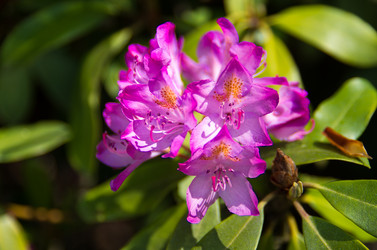 Similar image 8527234