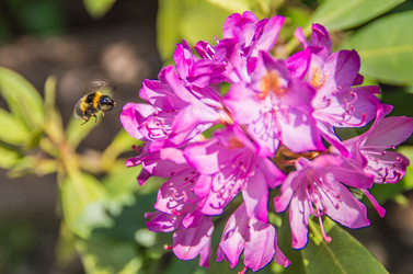 Similar image 8527241