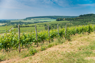 Similar image 8527245