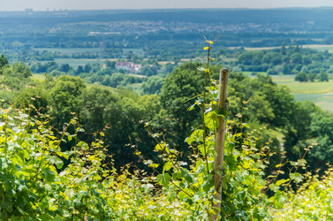 Similar image 8527246