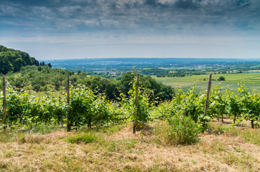 Similar image 8527248