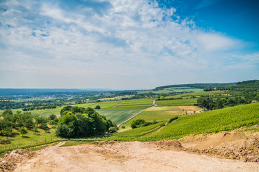 Similar image 8527249