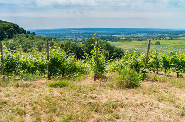 Similar image 8527253