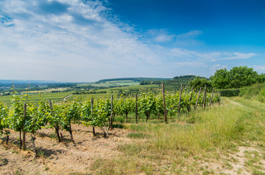 Similar image 8527261