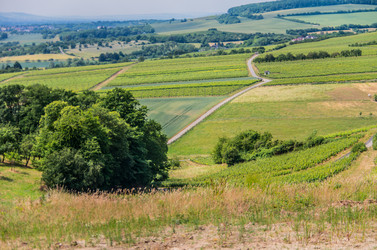 Similar image 8527270