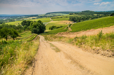 Similar image 8527274