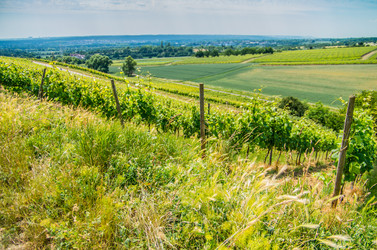 Similar image 8527285