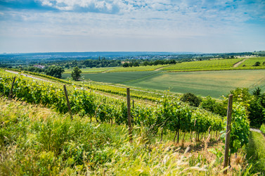 Similar image 8527287