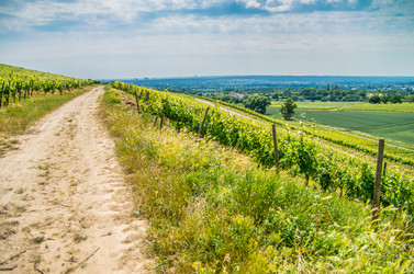 Similar image 8527288