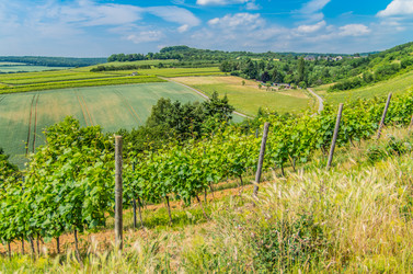 Similar image 8527291