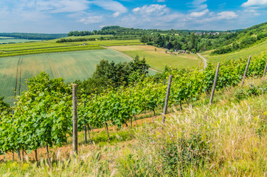 Similar image 8527292