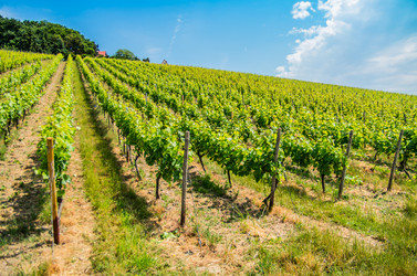 Similar image 8527293