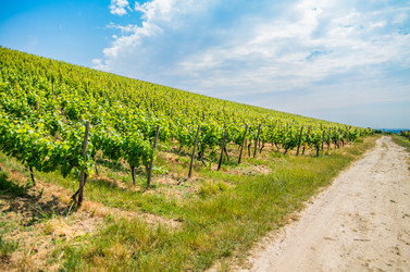 Similar image 8527303