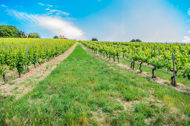 Similar image 8527307