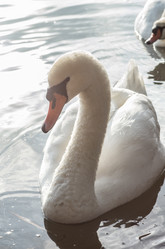 Similar image 8527562