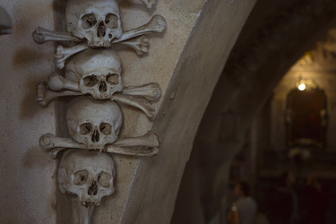 Similar image 8527594