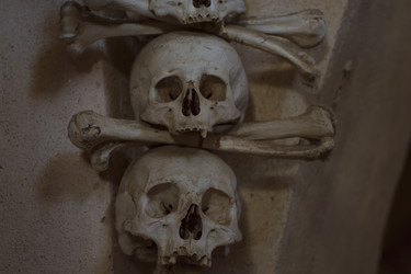 Similar image 8527595