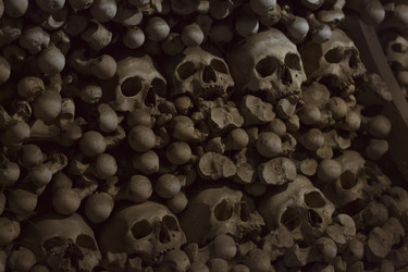 Similar image 8527597