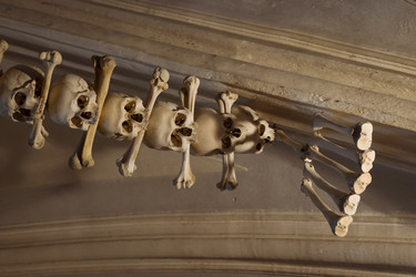 Similar image 8527599