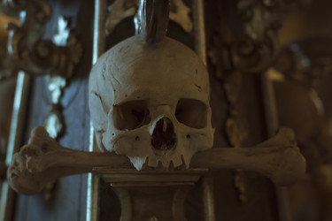 Similar image 8527603