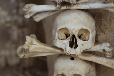 Similar image 8527613