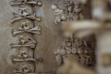 Similar image 8527614