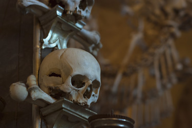 Similar image 8527616