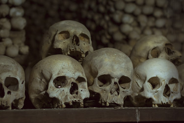 Similar image 8527617