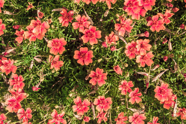 Similar image 8527651