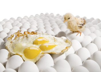 Similar image 8527708