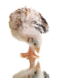 Similar image 8527717