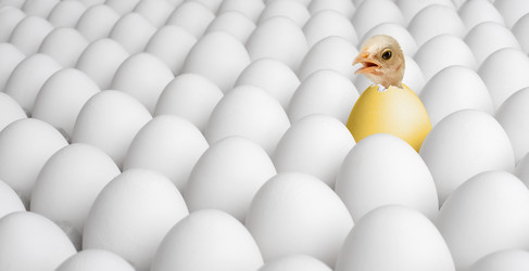 Similar image 8527725