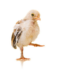 Similar image 8527735