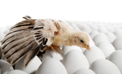 Similar image 8527739