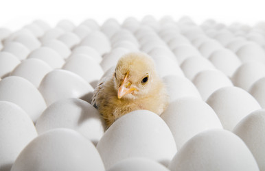 Similar image 8527743