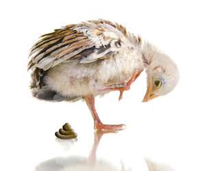 Similar image 8527745